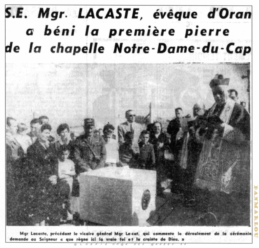 CAP FALCON (1037).JPG